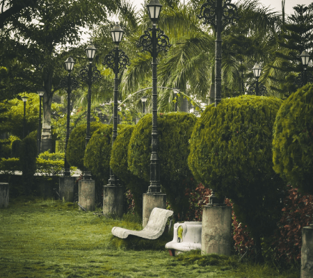 pexels-shubhankar-4117539